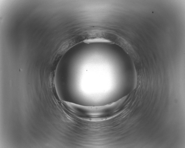 X0000063530333200601231548