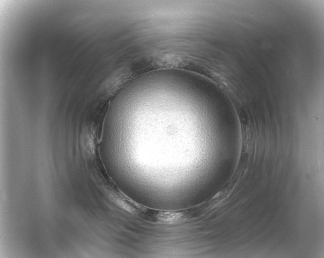 X0000063530334200601231548