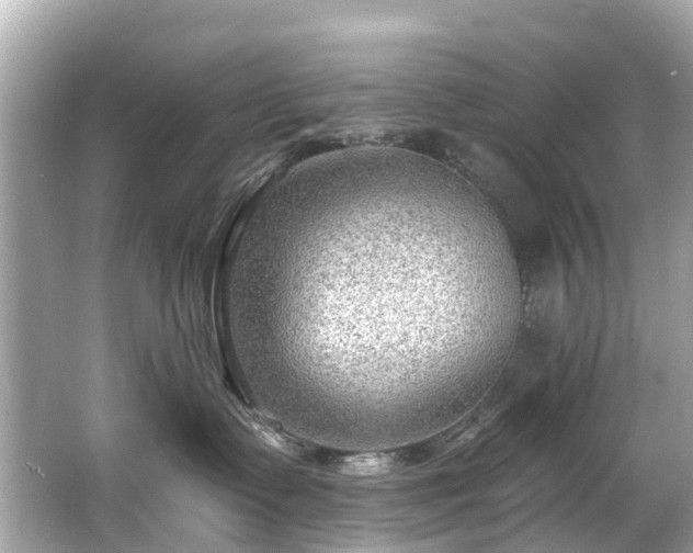 X0000063530335200601231548