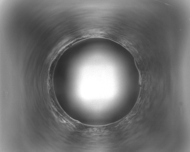 X0000063530338200601231547