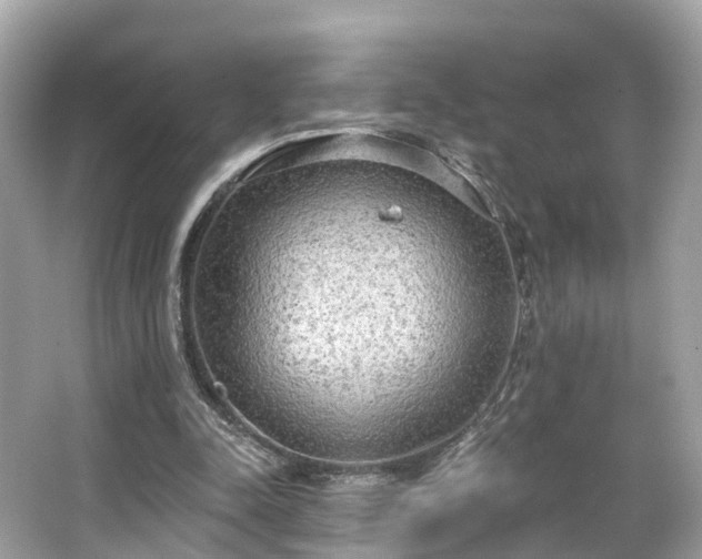 X0000063530342200601231547