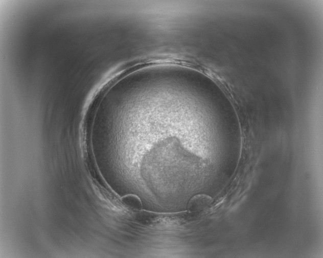 X0000063530343200601231547