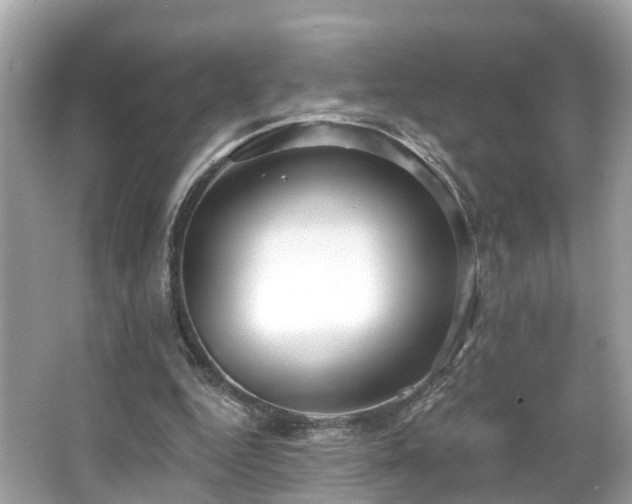 X0000063530344200601231547