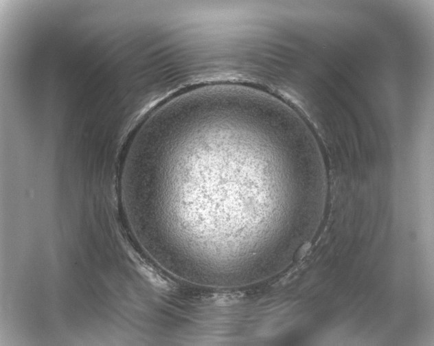 X0000063530345200601231547