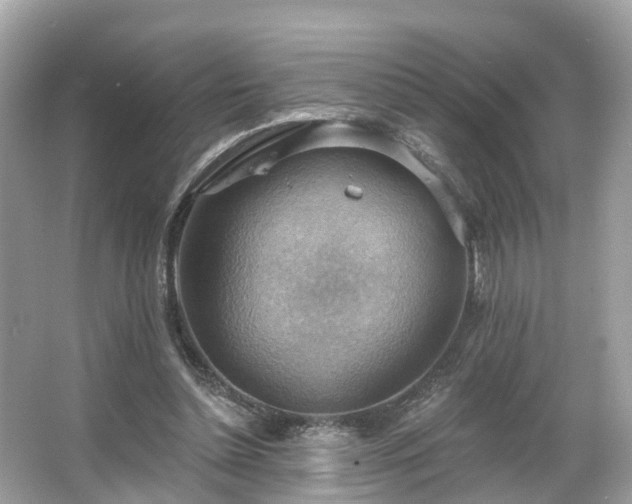 X0000063530348200601231547