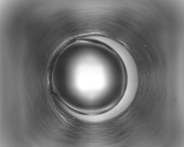 X0000063530350200601231547