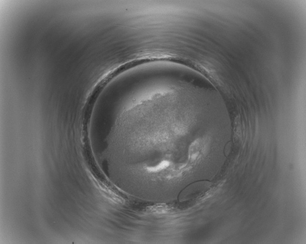 X0000063530351200601231547