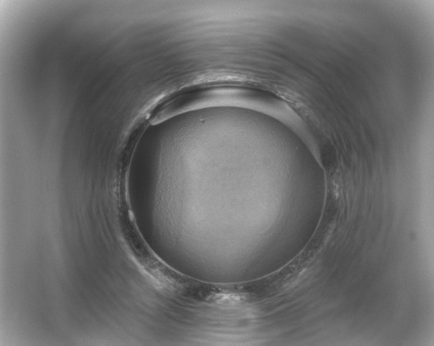 X0000063530352200601231547