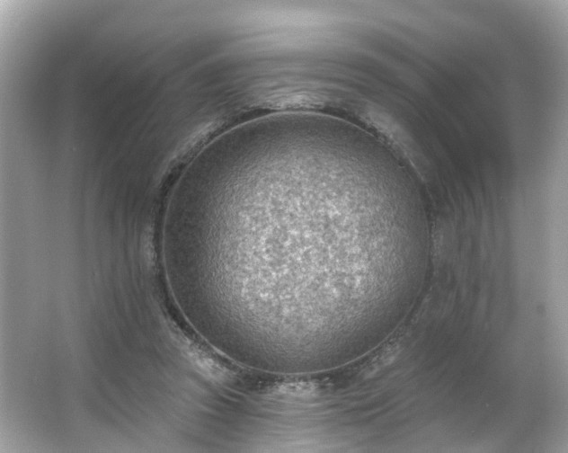 X0000063530353200601231547