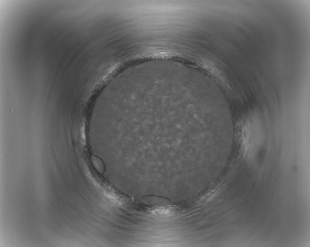 X0000063530358200601231548