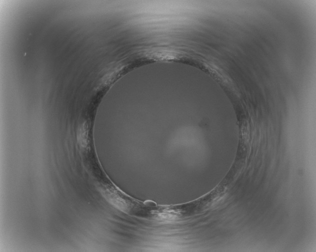 X0000063530359200601231548