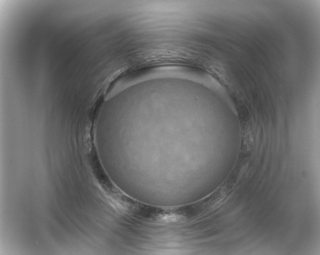 X0000063530360200601231548