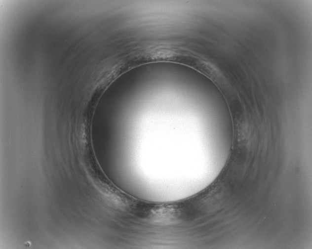 X0000063530362200601231548