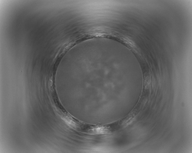 X0000063530365200601231548