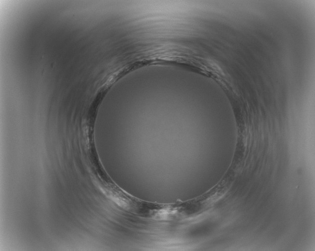 X0000063530366200601231548