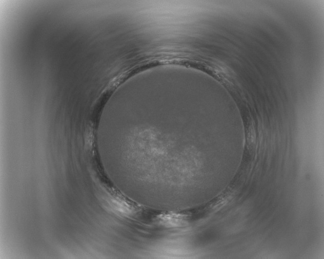 X0000063530367200601231548