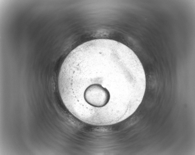 X0000063530370200601231548