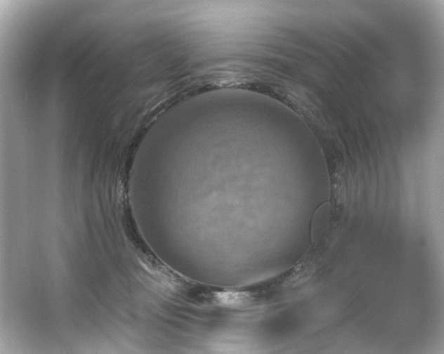 X0000063530371200601231548