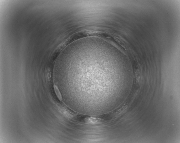 X0000063530372200601231548