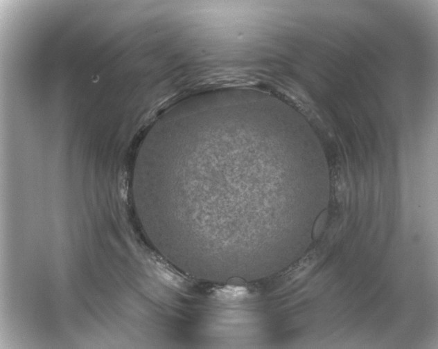 X0000063530374200601231548