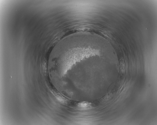 X0000063530375200601231548