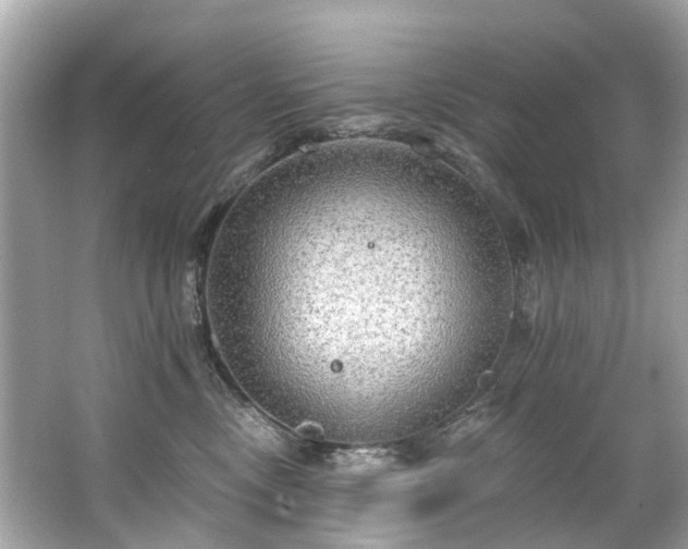 X0000063530378200601231548