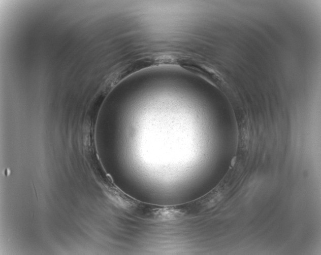 X0000063530379200601231548