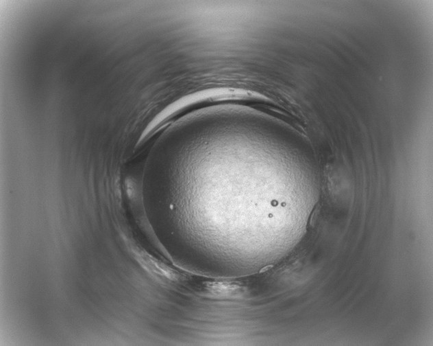 X0000063530380200601231548