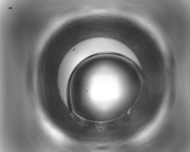 X0000063530382200601231548