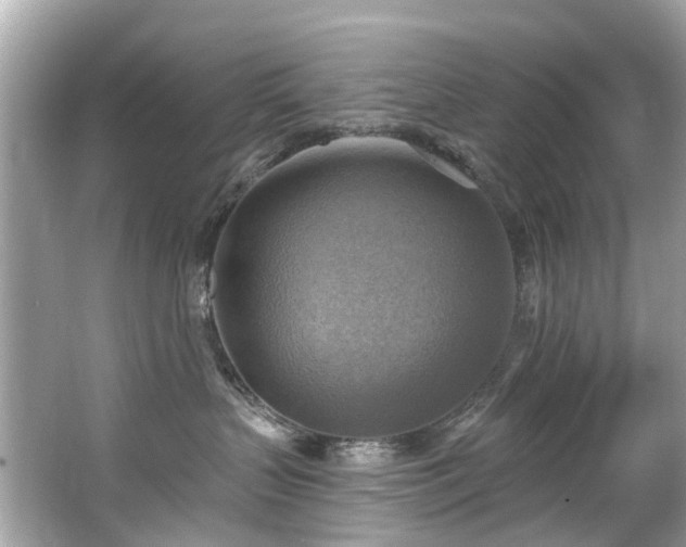 X0000063530383200601231548