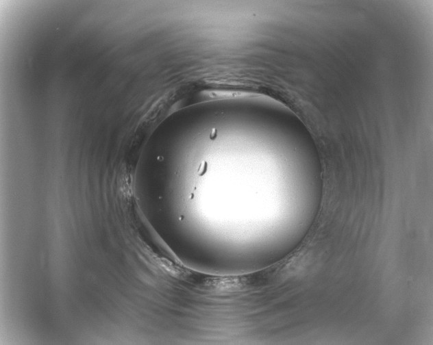 X0000063530384200601231548