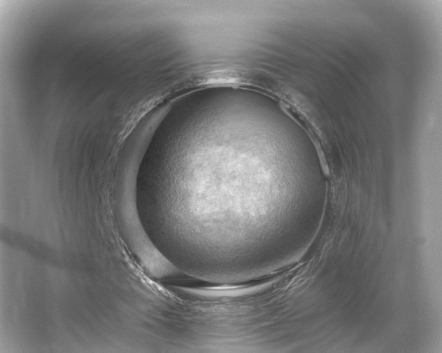 X0000063530385200601231547