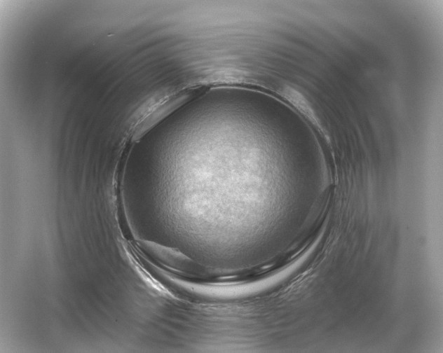 X0000063530389200601231547