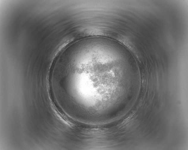 X0000063530390200601231547