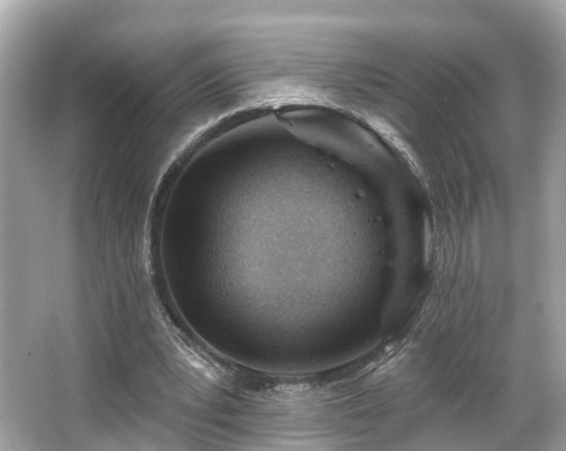 X0000063530391200601231547