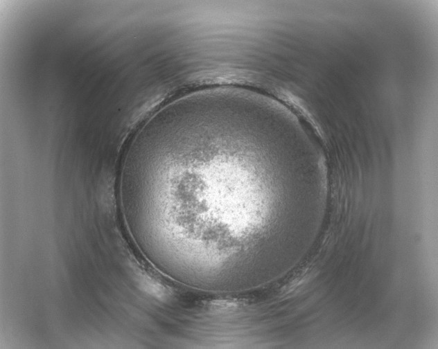 X0000063530394200601231547