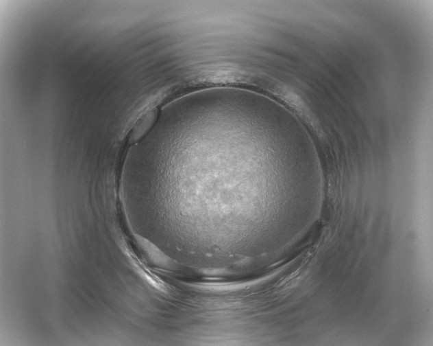 X0000063530397200601231547