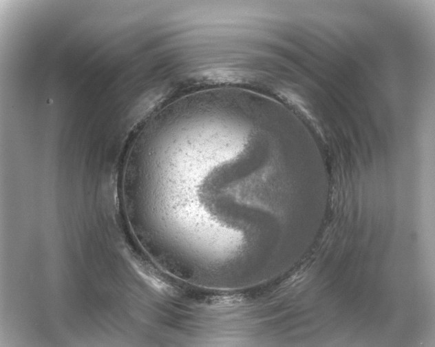 X0000063530398200601231547