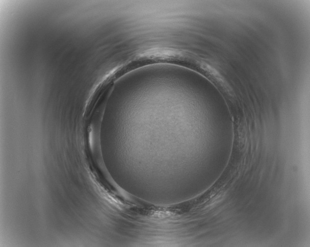 X0000063530399200601231547