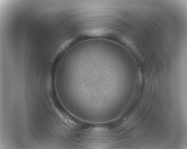 X0000063530400200601231547