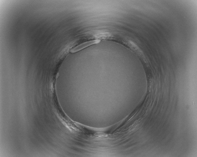 X0000063530405200601231547