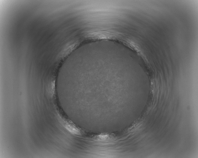 X0000063530406200601231547