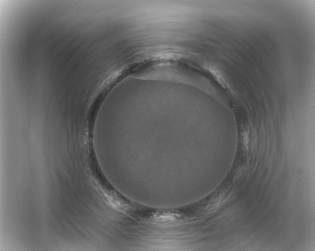 X0000063530407200601231547