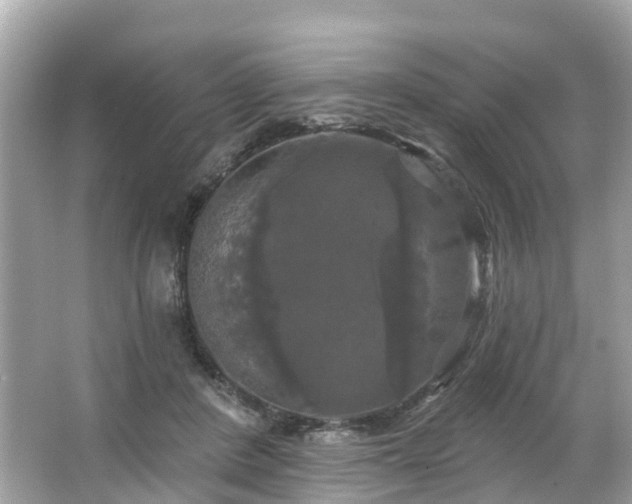 X0000063530408200601231547