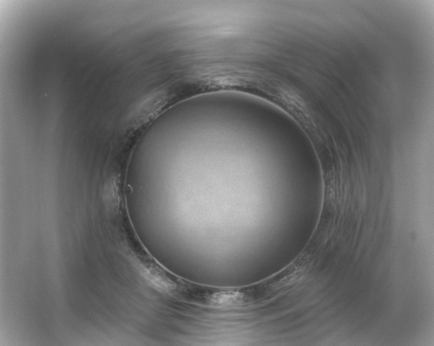 X0000063530410200601231547