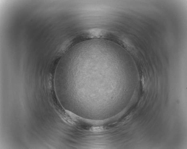 X0000063530413200601231547