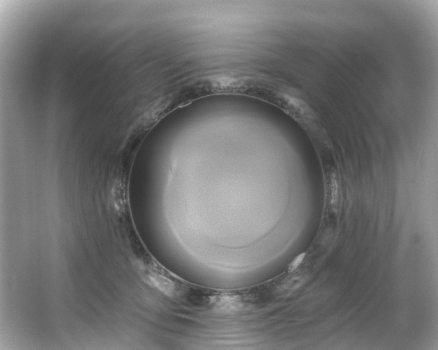 X0000063530419200601231547