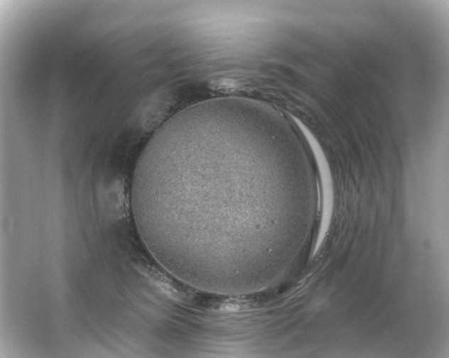 X0000063530420200601231547