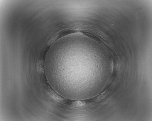 X0000063530421200601231547