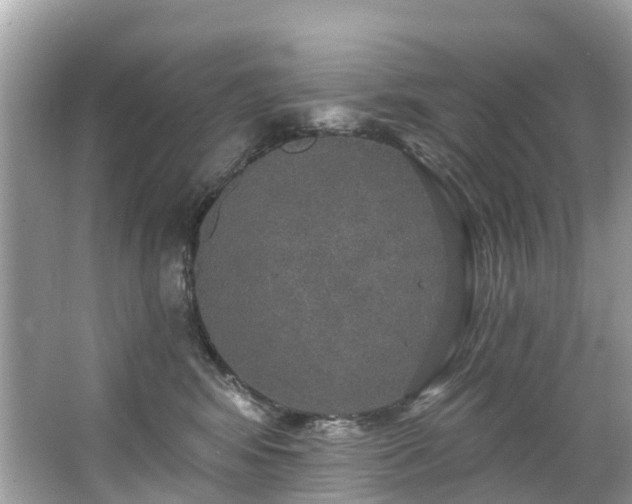 X0000063530424200601231547